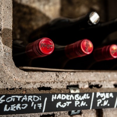1DX 1954 borgo cantina 3